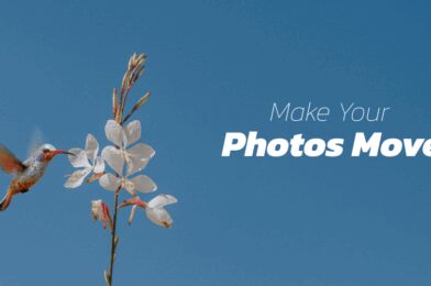 VIMAGE v5.1.1 MOD + APK (Premium Unlocked) Download MOD APK (VIP Unlocked) 2025