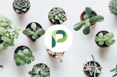 Planta v2.34.1 MOD + APK (Premium ) Download MOD APK (VIP Unlocked) 2025