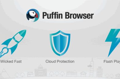 Puffin Browser Pro v10.5.0.61369 APK + MOD (Premium Unlocked) Download MOD APK (VIP Unlocked) 2025