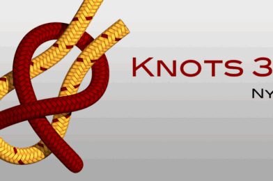 Download Knots 3D v10.0.0 APK (Patched) for Android MOD APK (VIP Unlocked) 2025