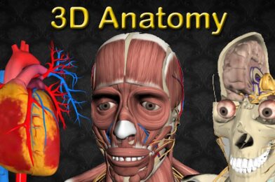 3D Anatomy v6.8 APK (Patched) Download MOD APK (VIP Unlocked) 2025