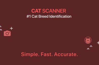 Download Cat Scanner v19.0.0-G APK + MOD (Premium Unlocked) MOD APK (VIP Unlocked) 2025